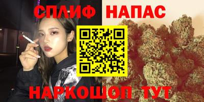 spice Боровичи