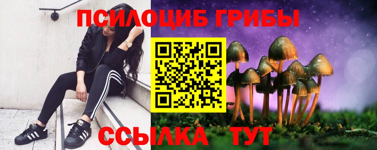 Галлюциногенные грибы Psilocybe  Вход с VPN  Выкса 